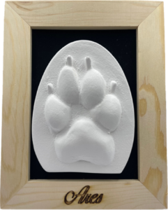 Gerahmter Abdruck einer Gipspatze mit Holzumrandung und eingraviertem Namen "Ares" am unteren Rand. Aurora Tierkrematorium