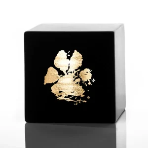 Ein schwarzer Würfel mit einem goldenen metallischen Pfotenabdruck auf einer Seite, vor einem weißen Hintergrund mit einer leichten Reflexion darunter. Aurora Tierkrematorium