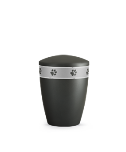 Eine schwarze Urne mit einem silbernen Band mit Pfotenabdrücken, die auf eine flache Oberfläche gestellt wird. Aurora Tierkrematorium