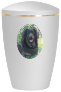 Eine weiße Einäscherungsurne mit einem goldenen Band im oberen Bereich und einem Foto eines schwarzen Hundes auf der Vorderseite. Aurora Tierkrematorium