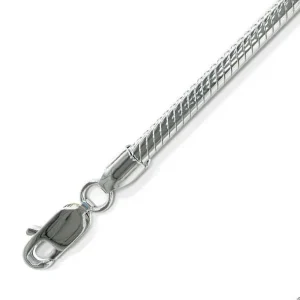 Nahaufnahme einer silbernen Schlangenkette mit Karabinerverschluss, dargestellt auf weißem Hintergrund. Aurora Tierkrematorium