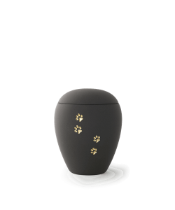 Eine schwarze Urne für Haustiere mit vier goldenen Pfotenabdrücken, die diagonal auf der Oberfläche angeordnet sind, steht auf einem weißen Hintergrund. Aurora Tierkrematorium