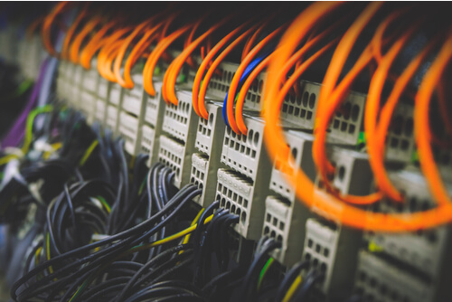 Nahaufnahme mehrerer orangefarbener und schwarzer Netzwerkkabel, die an die Anschlüsse eines Servers oder Netzwerk-Switches in einem Rechenzentrum angeschlossen sind. Aurora Tierkrematorium